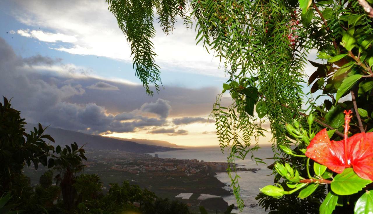 Bungalow Aloha Villa Puerto de la Cruz  Buitenkant foto